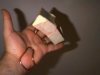 Thumbnail wire-palm.jpg 